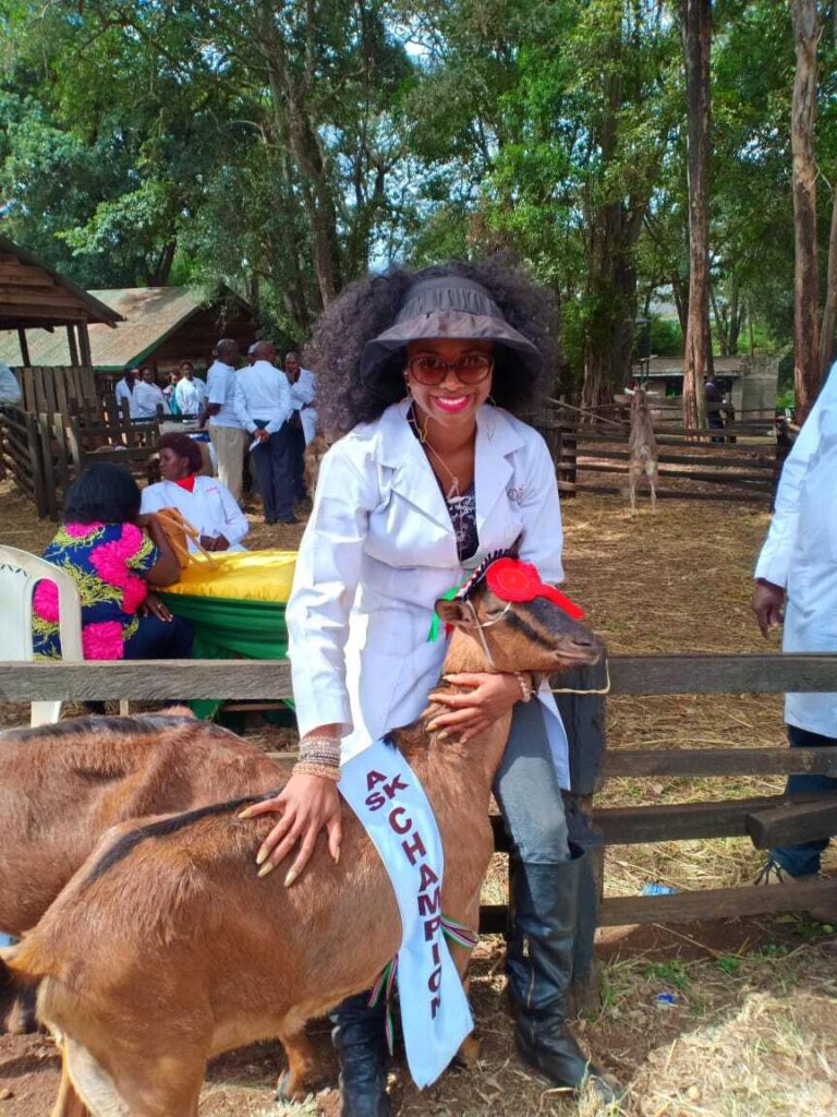 Goat farming found space in Nairobi, produces valuable skin products