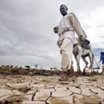 climate change Africa