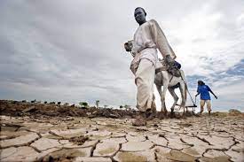 climate change Africa