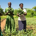 climate-smart-agriculture