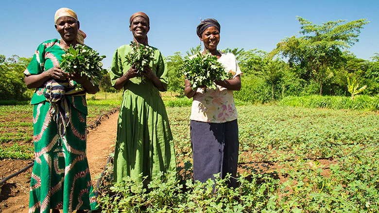 climate-smart-agriculture