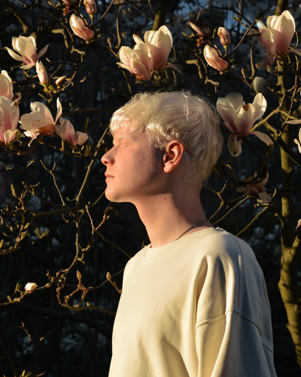 a white haired man against magnolia tree