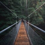 first perspective photography of hanging bridge