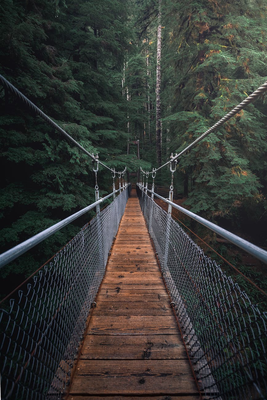 first perspective photography of hanging bridge