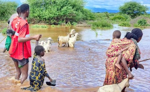 Floods wreaks havoc as Loss and Damage Fund takes shape