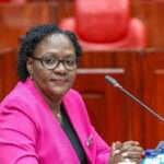 Stella Soi appearing before National Assembly committee on appointments. Photo/courtesy.