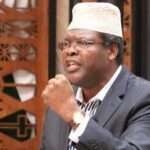 miguna-miguna