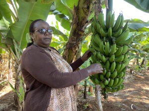 Frenciah Kinyua, banana farmer.