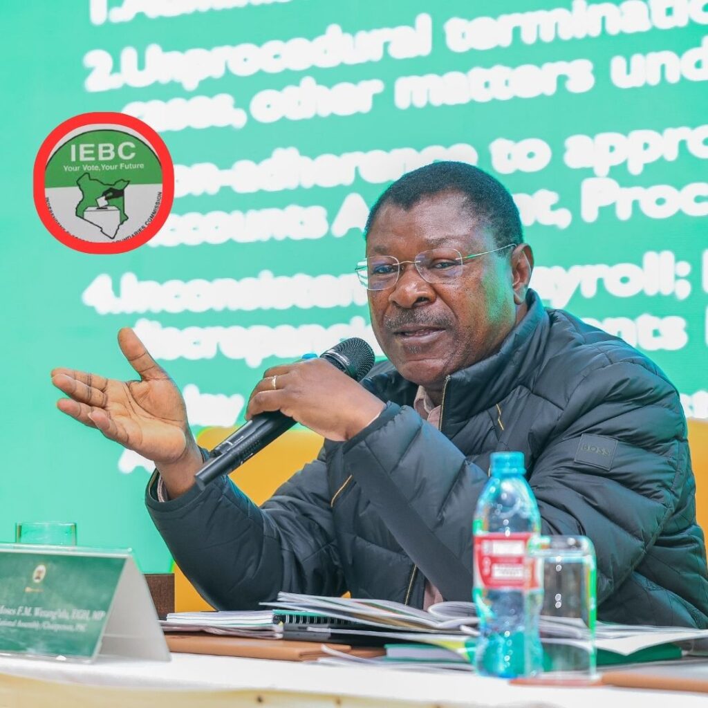Image of National Assembly Speaker Moses Wetangula - boundary delimitation