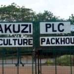 Kakuzi Factory, Mabuyu, Muranga County.