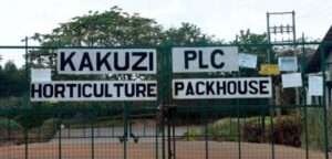 Kakuzi Factory, Mabuyu, Muranga County.