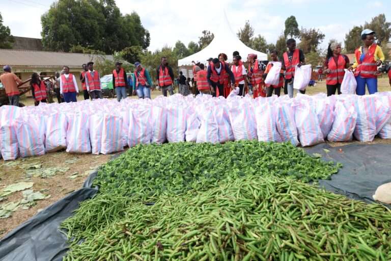 Vibo Eats distribute food